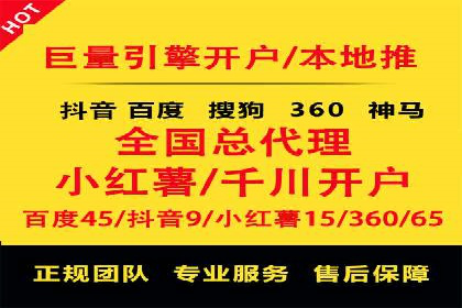某行业领军企业的SEM广告投放策略